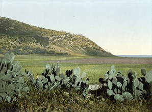 General view of Mount Carmel.