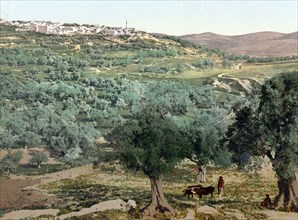 General view of Samaria.