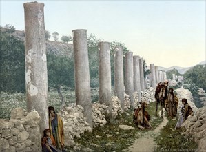 The colonnade of Samaria.