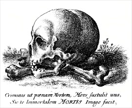 Skull and human bones.