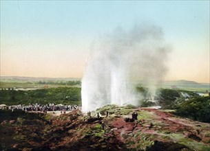 Wairoa Geyser in Eruption.