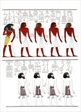 The different kinds of people known to the Egyptians, depicted in the tomb of Menphtah I. The first