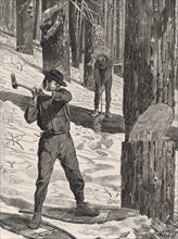 Woodcutter working in the forest in winter.
