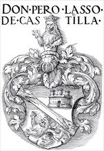 The coat of Arms of Don Pedro Lasso.