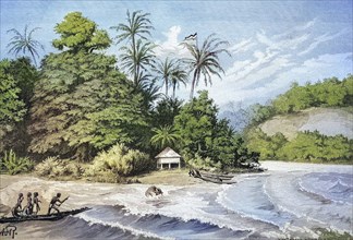 Port and beach in New Guinea