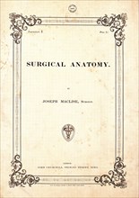 Surgical human anatomy