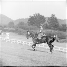 Jeux olympiques d'été de Rome, 1960