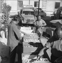 Jeux olympiques d'été de Rome, 1960