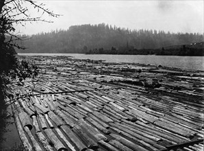 Logging Rafts In Oregon