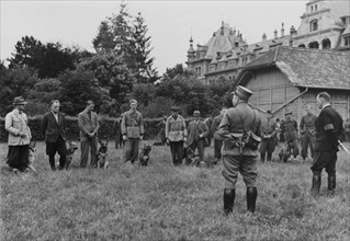 Army auxiliaries, dogs, dog handlers.