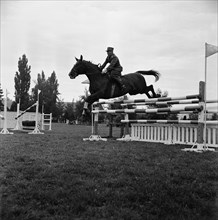 Qualifications  Rome 1960: Hans Möhr and Lausbub.