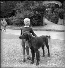 Prince Alfonso of Spain, around 1947.