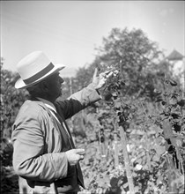 Wilhelm Meyer, around 1954.