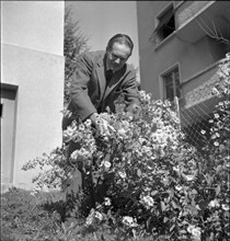 Emmanuel de Graffenried in his garden, 1950.