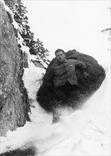 Mountain farmer pulling hay down into the valley, around 1960.