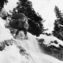 Mountain farmer pulling hay down into the valley, around 1960.