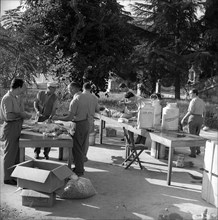 Rome 1960: Ovomaltine preparation.