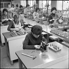 Women Working in Industrial Company, around 1965.