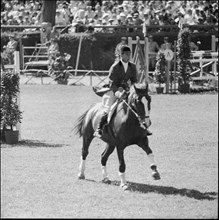 Olympic Games Rome 1960: Hans Möhr auf Lausbub III.