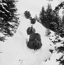 Men pulling hay down into the valley, around 1960.