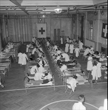 Zurich academicians giving blood for Hungary 1956.