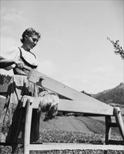 Woman breaking flax, around 1960.