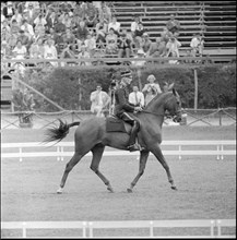 Olympic Games Rome 1960: Henri St. Cyr and Etoile.