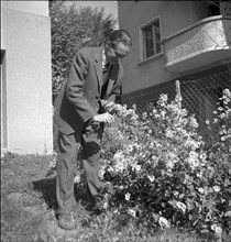 Emmanuel de Graffenried in his garden, 1950.