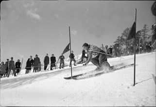 Resi Hammerer, around 1947 .