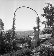 Miss Seline Thiel, governess at the Roosevelts. Cormondrèche ca. 1945