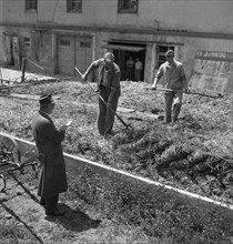 Examination of farmers at Wallierhof, Riedholz 1945.