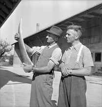 Examination of farmers at Wallierhof, Riedholz 1945