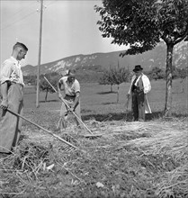 Examination of farmers at Wallierhof, Riedholz 1945.