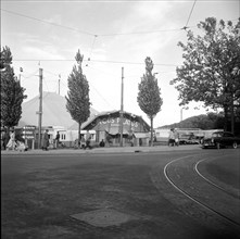 Circus Pilatus, Zurich 1957.