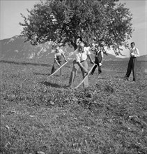 Examination of farmers at Wallierhof, Riedholz 1945.