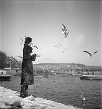 Woman feeding birds, Zurich 1938