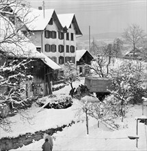 Foot-and-mouth disease Wädenswil 1965: Infected animals were fetched.