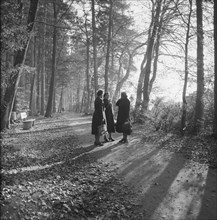 Women in the forest, around 1960.