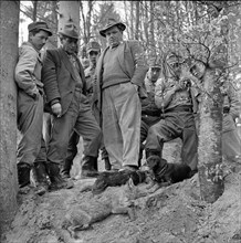 Dog tragedy in a fox-hole near Ammerswil AG, 1962: Soldiers with the dachshund and the dead animals