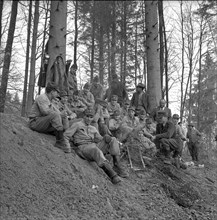 Dog tragedy in a fox-hole near Ammerswil AG, 1962: The recruits.