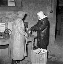 Measures against foot-and-mouth disease, 1953