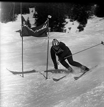 Heidi Mittermaier, 1960