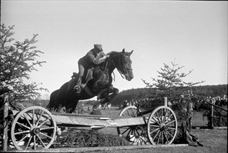 Willow near Chevenez. Cavalryman riding his horse