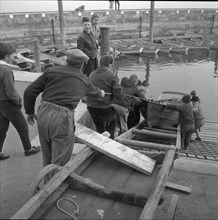 Boys launching a boat, Rorschach harbour 1958