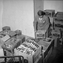 Students decorate and sell candles in favour of hungarian refugees, Zurich 1960