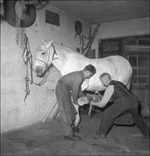 Blacksmith in Rekingen AG 1950