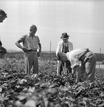 Examination of farmers at Wallierhof, Riedholz 1945