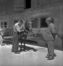 Examination of farmers at Wallierhof, Riedholz 1945