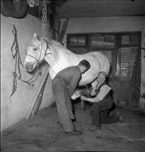 Blacksmith in Rekingen AG 1950