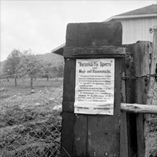 Foot-and-mouth disease 1965: Placard